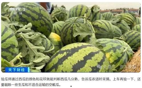 瓜老师,开启人生新篇章